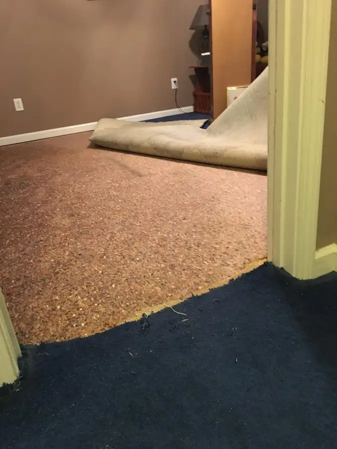 Carpet pad removal revealing water damage during Drying & Dehumidification in North Andover